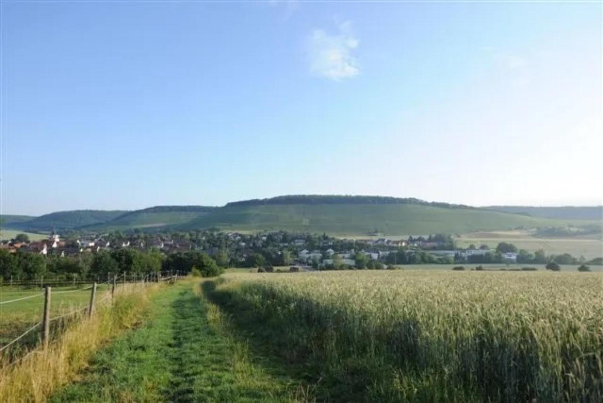 Landpension Wachtkopf Vaihingen an der Enz Bagian luar foto