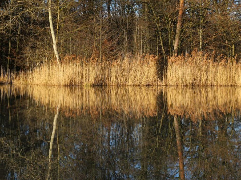 Landpension Wachtkopf Vaihingen an der Enz Bagian luar foto