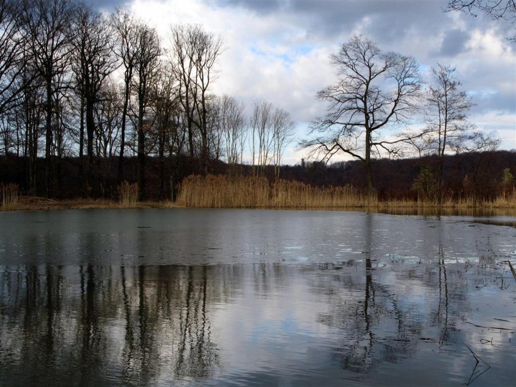Landpension Wachtkopf Vaihingen an der Enz Bagian luar foto