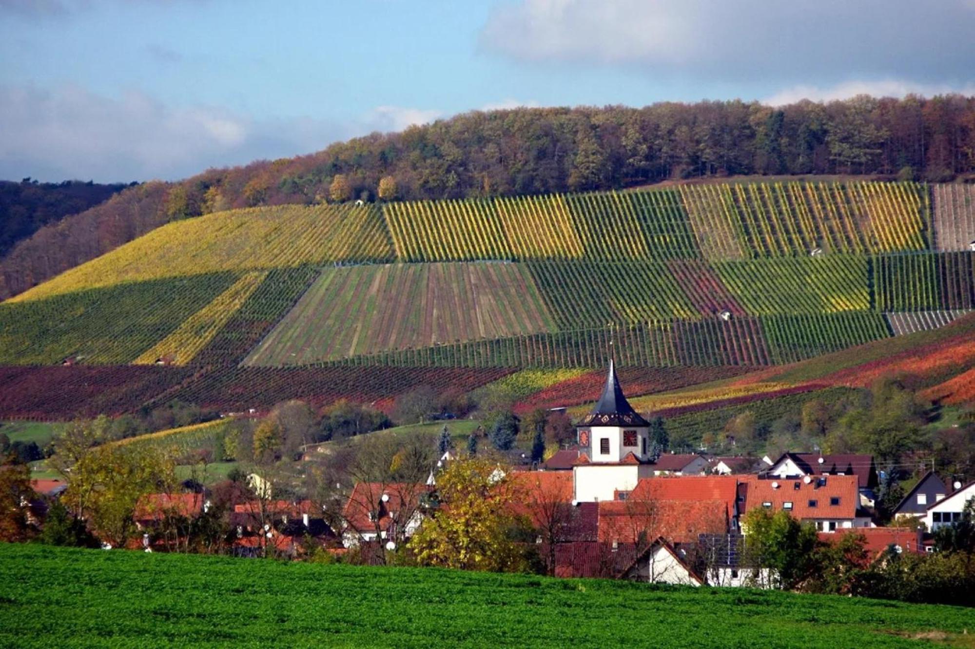 Landpension Wachtkopf Vaihingen an der Enz Bagian luar foto